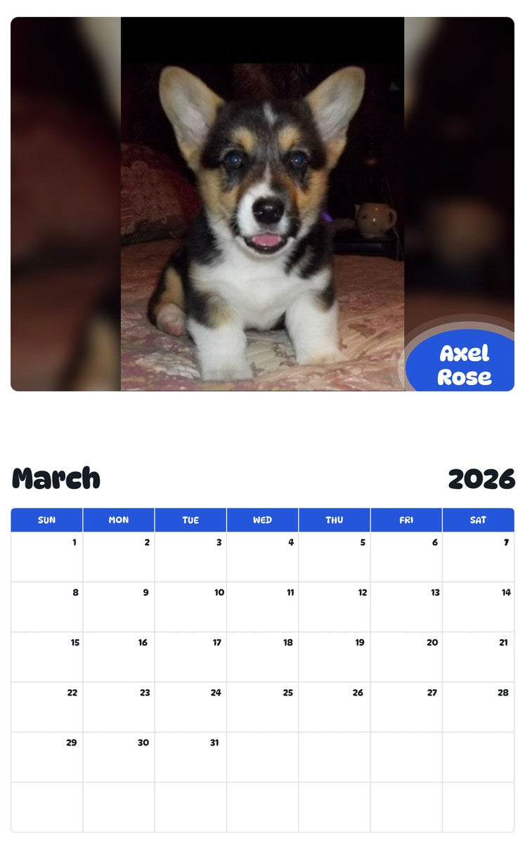 November 2025 - October 2026 Axel Rose - Pawidols Pet Calendar