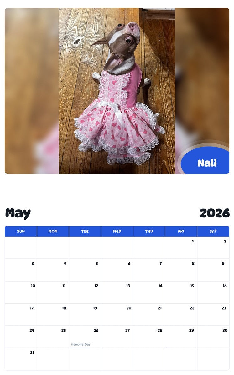 2026 - 2027 Nali - Pawidols Pet Calendar