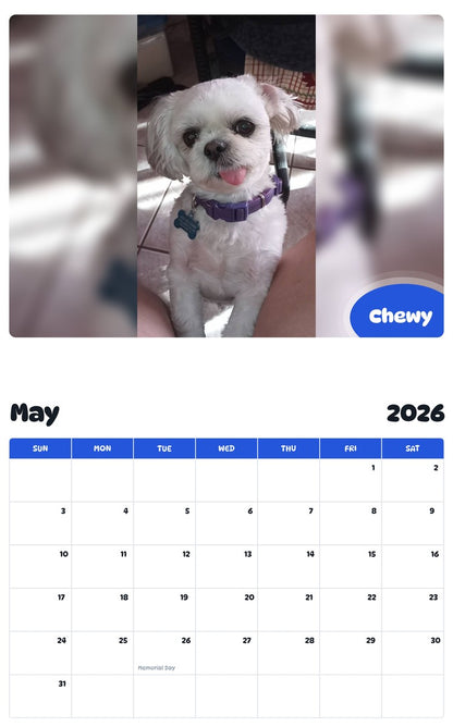 2026 - 2027 Chewy - Pawidols Pet Calendar