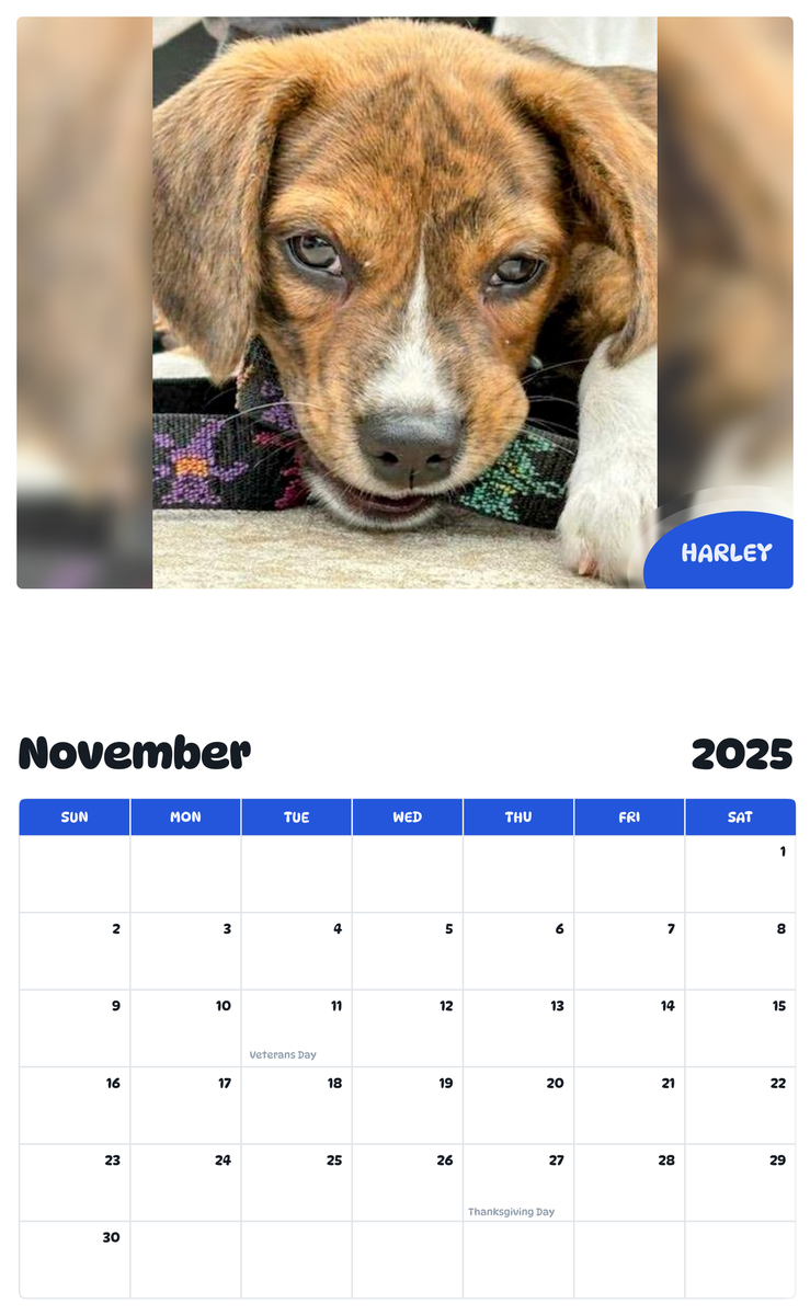 July 2025 - June 2026 Harley - Pawidols Pet Calendar