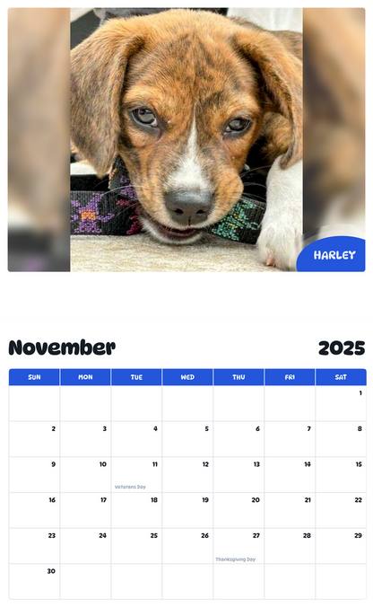 July 2025 - June 2026 Harley - Pawidols Pet Calendar