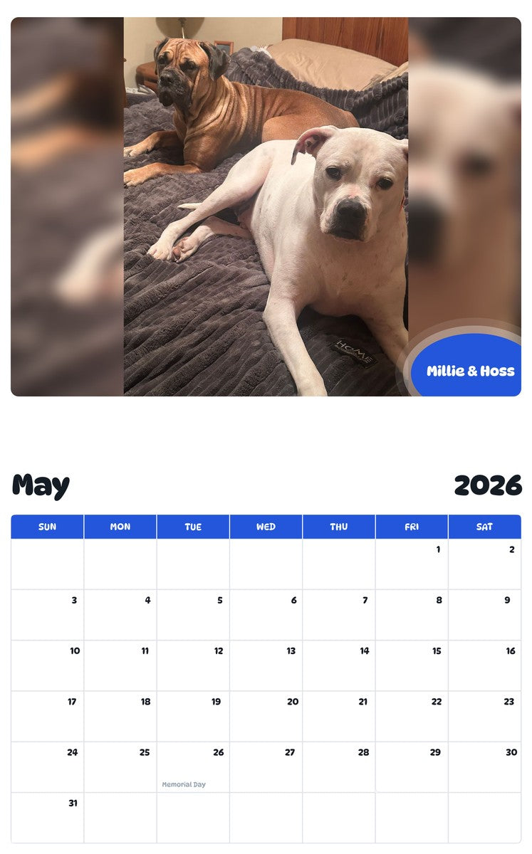 2026 - 2027 Millie & Hoss - Pawidols Pet Calendar