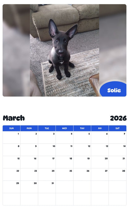 November 2025 - October 2026 Solie - Pawidols Pet Calendar