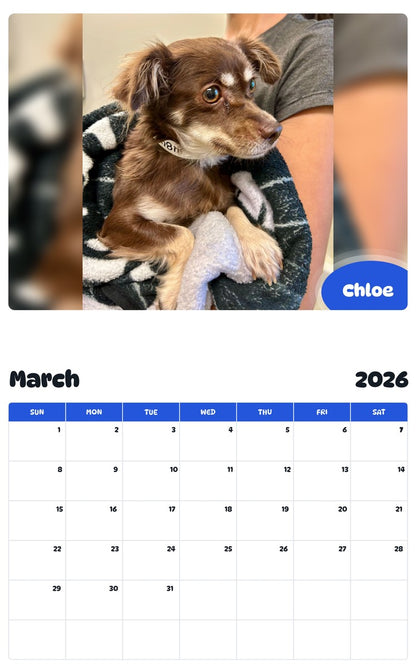 November 2025 - October 2026 Chloe - Pawidols Pet Calendar