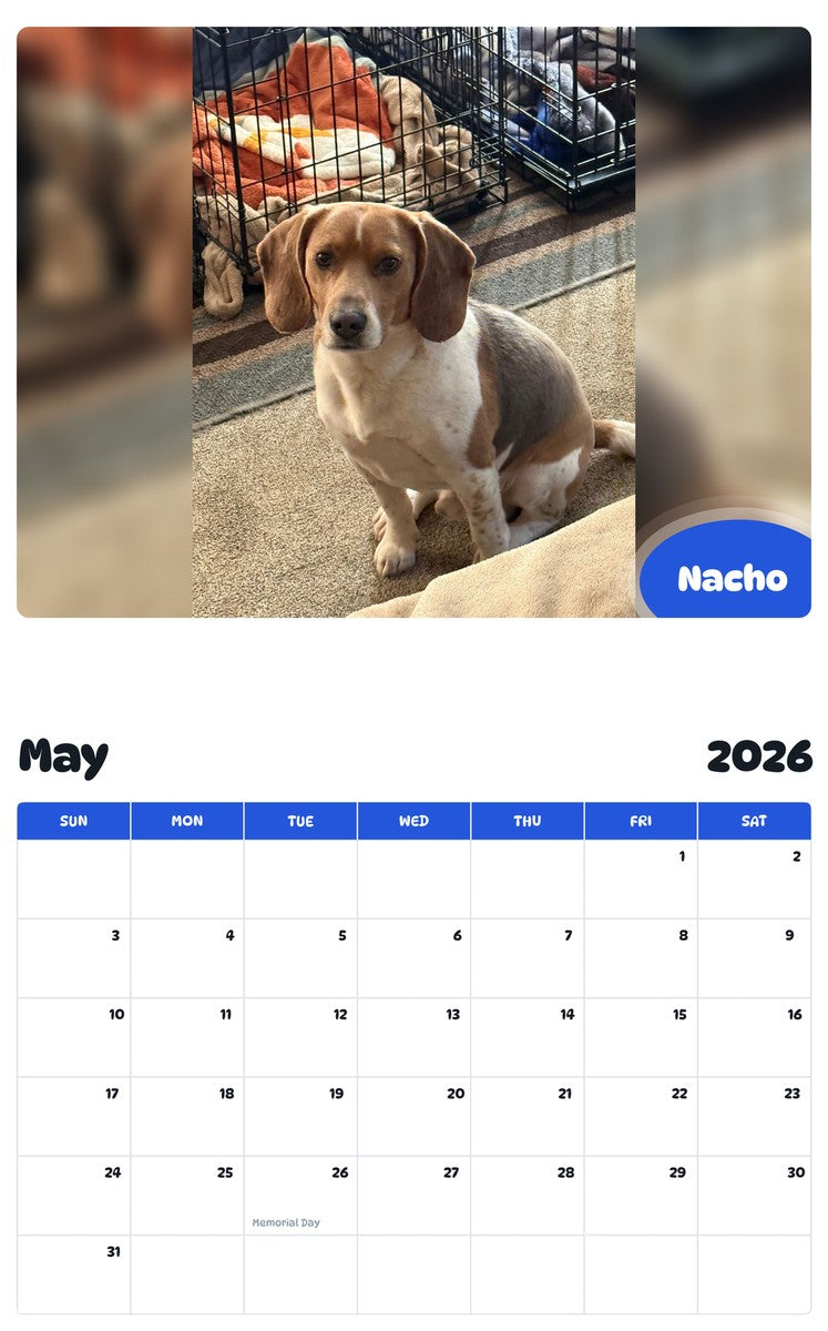 2026 - 2027 Nacho - Pawidols Pet Calendar