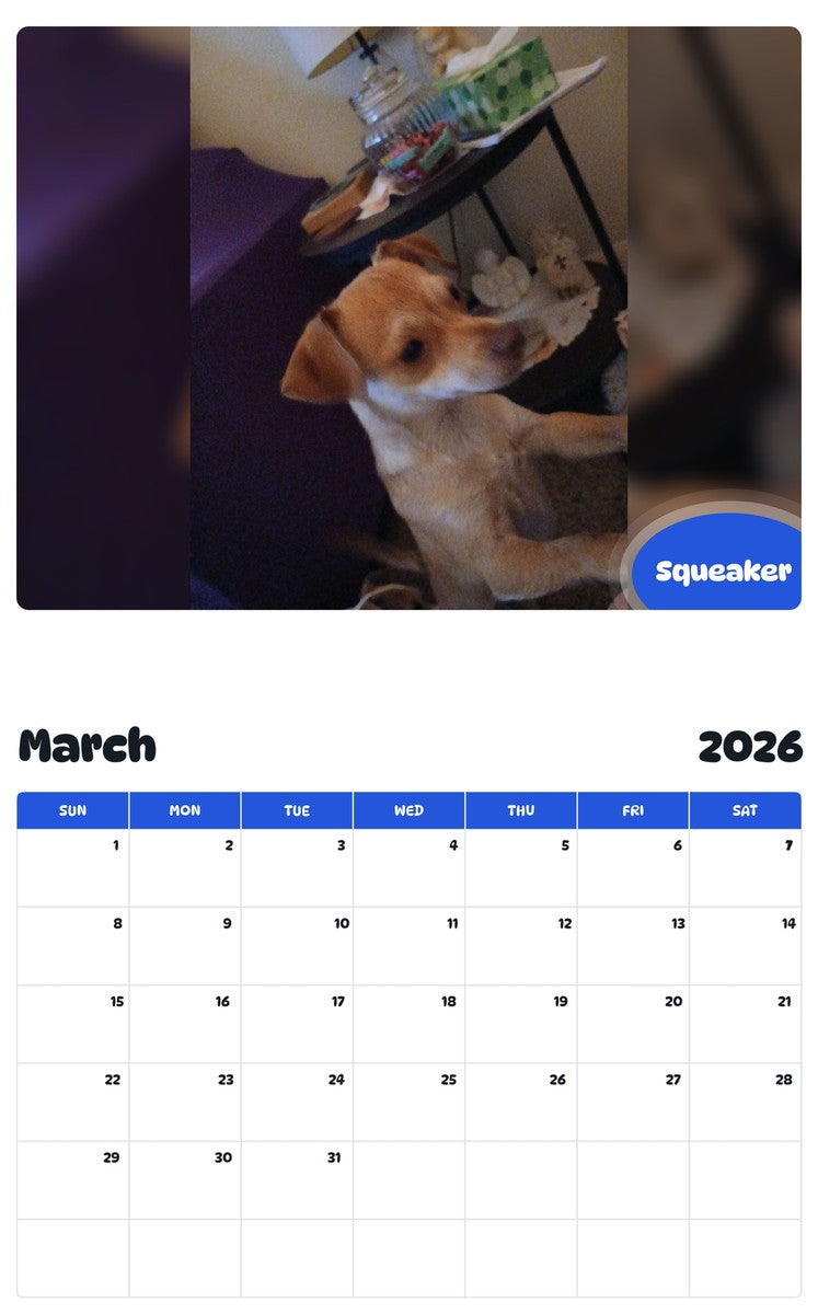 November 2025 - October 2026 Squeaker - Pawidols Pet Calendar