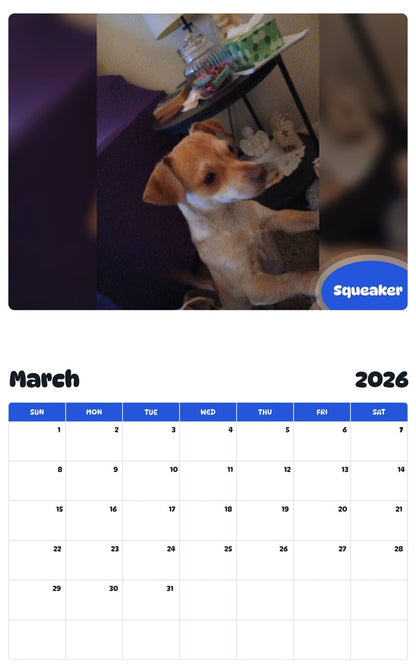 November 2025 - October 2026 Squeaker - Pawidols Pet Calendar