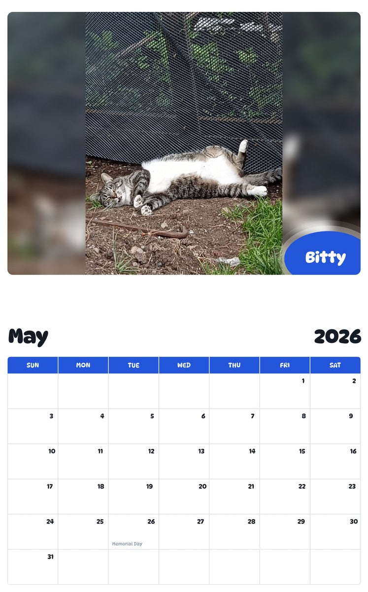 2026 - 2027 Bitty - Pawidols Pet Calendar