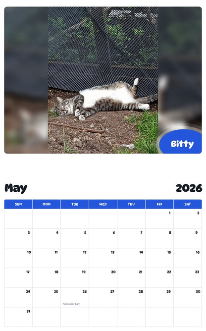 2026 - 2027 Bitty - Pawidols Pet Calendar