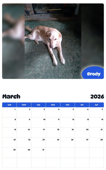 November 2025 - October 2026 Brody - Pawidols Pet Calendar