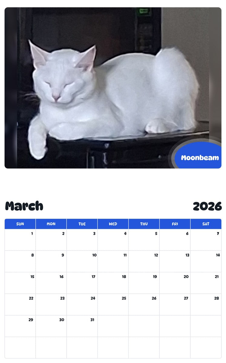 November 2025 - October 2026 Moonbeam - Pawidols Pet Calendar