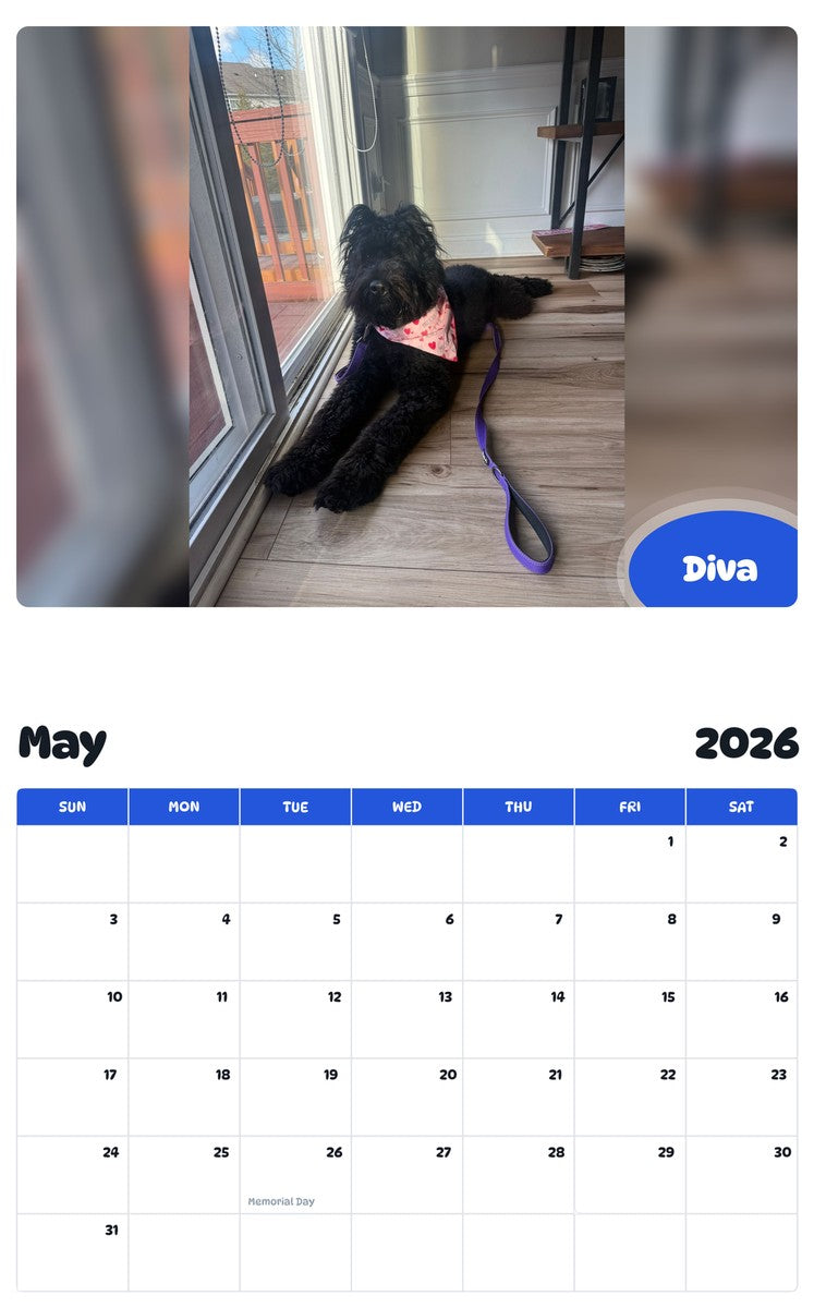 2026 - 2027 Diva - Pawidols Pet Calendar