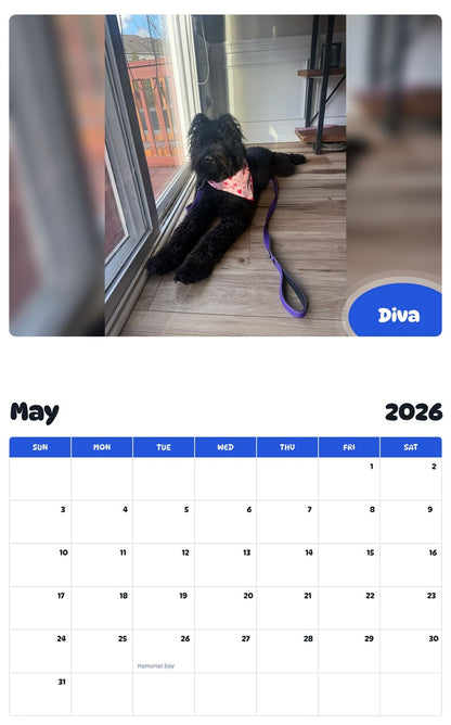 2026 - 2027 Diva - Pawidols Pet Calendar