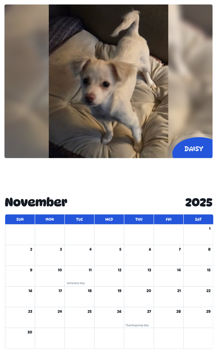 July 2025 - June 2026 Daisy - Pawidols Pet Calendar