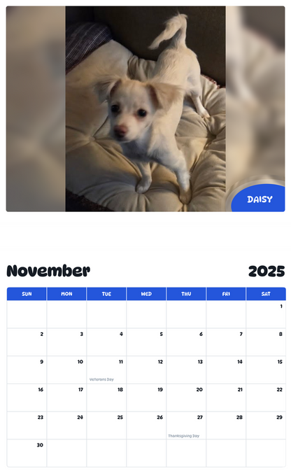 July 2025 - June 2026 Daisy - Pawidols Pet Calendar