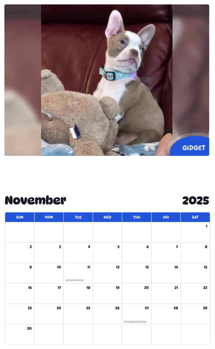 July 2025 - June 2026 Gidget - Pawidols Pet Calendar