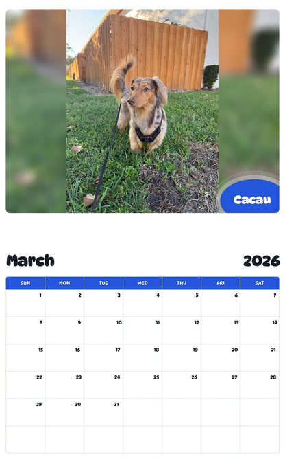 November 2025 - October 2026 Cacau - Pawidols Pet Calendar