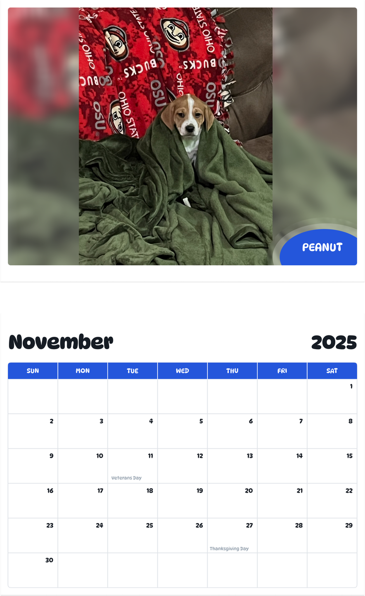 July 2025 - June 2026 Peanut - Pawidols Pet Calendar
