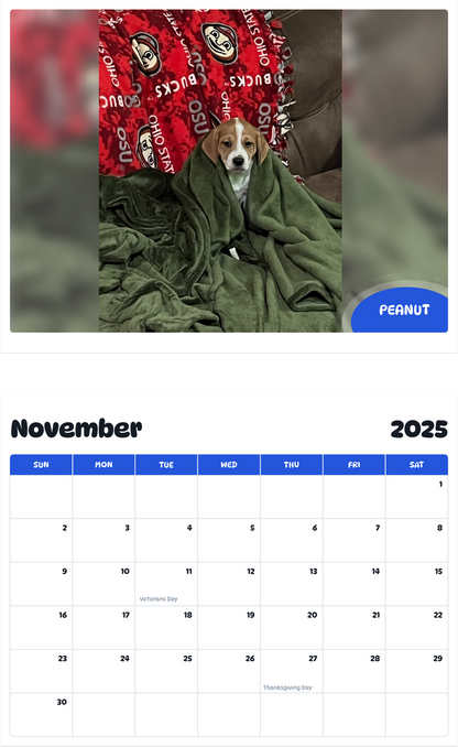 July 2025 - June 2026 Peanut - Pawidols Pet Calendar