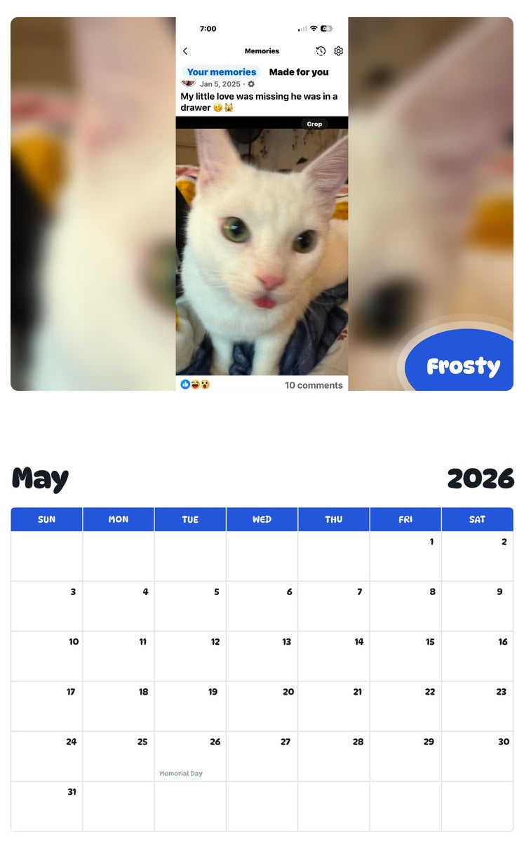 2026 - 2027 Frosty - Pawidols Pet Calendar
