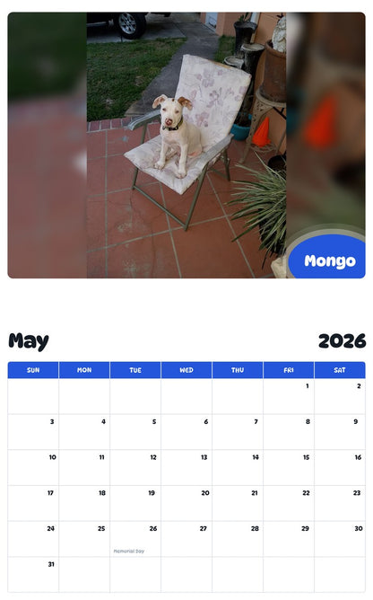 2026 - 2027 Mongo - Pawidols Pet Calendar
