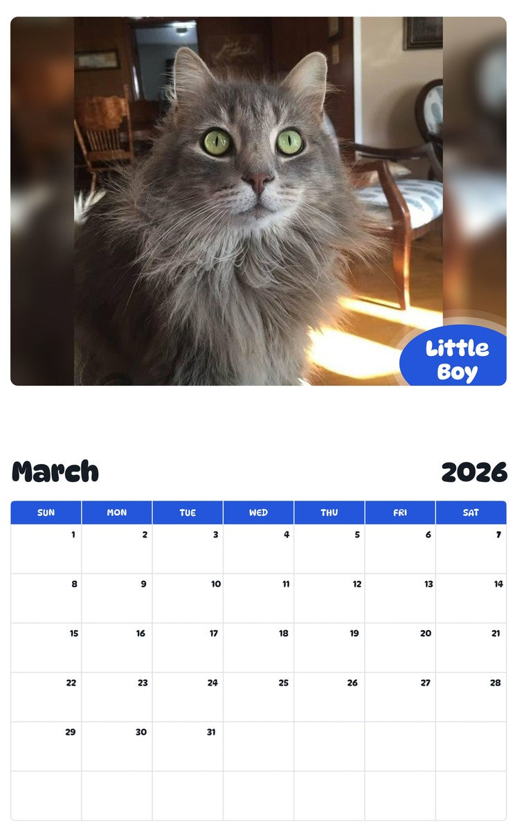 November 2025 - October 2026 Little Boy - Pawidols Pet Calendar
