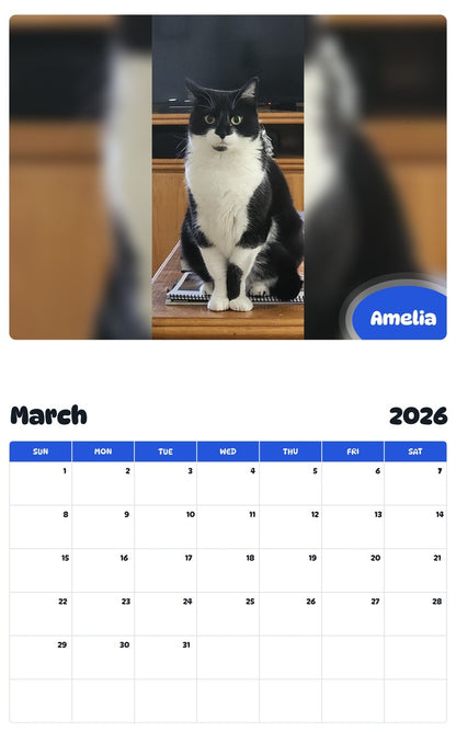November 2025 - October 2026 Amelia - Pawidols Pet Calendar