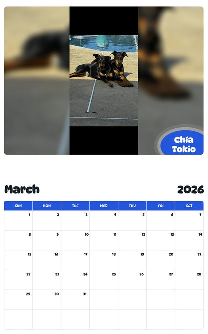 November 2025 - October 2026 Chía Tokio - Pawidols Pet Calendar