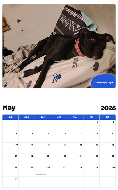 2026 - 2027 Lucy Ducy Stegall - Pawidols Pet Calendar