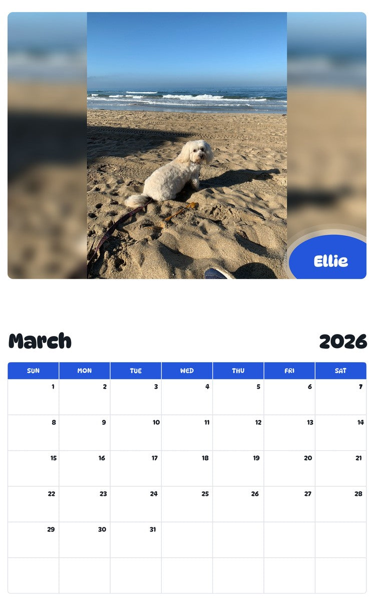 November 2025 - October 2026 Ellie - Pawidols Pet Calendar