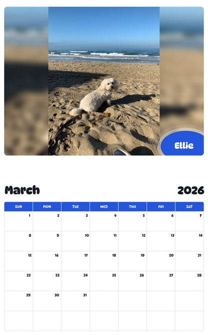 November 2025 - October 2026 Ellie - Pawidols Pet Calendar