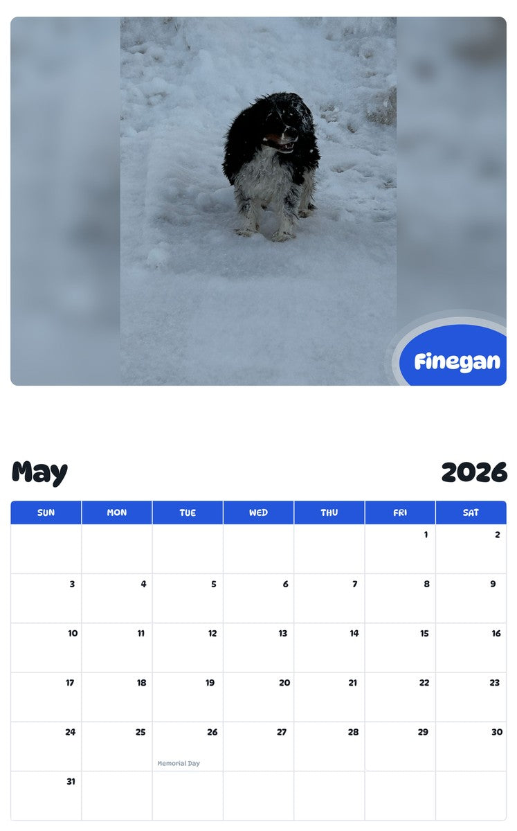 2026 - 2027 Finegan - Pawidols Pet Calendar