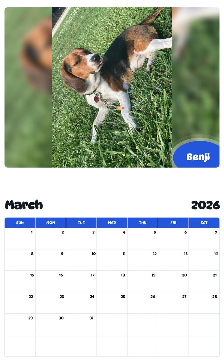 November 2025 - October 2026 Benji - Pawidols Pet Calendar