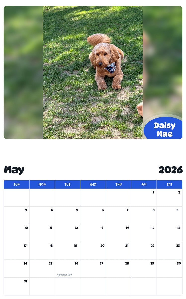 2026 - 2027 Daisy Mae - Pawidols Pet Calendar