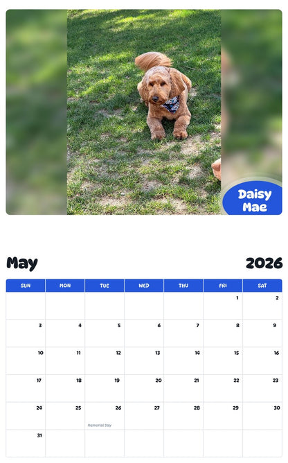 2026 - 2027 Daisy Mae - Pawidols Pet Calendar