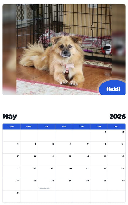 2026 - 2027 Heidi - Pawidols Pet Calendar