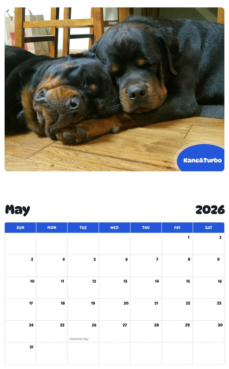 2026 - 2027 Kane&Turbo - Pawidols Pet Calendar