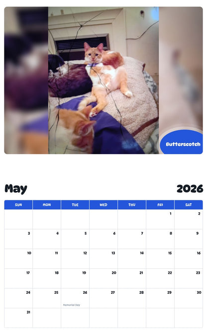 2026 - 2027 Butterscotch - Pawidols Pet Calendar