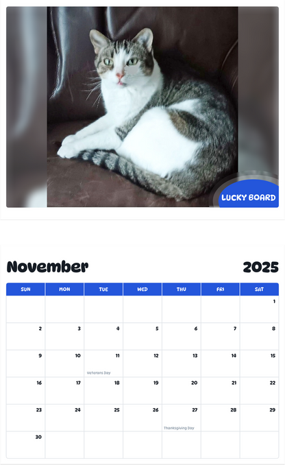 July 2025 - June 2026 Lucky Board - Pawidols Pet Calendar
