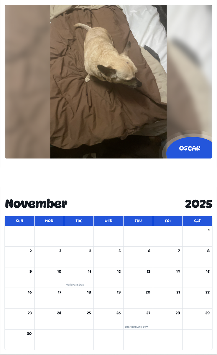 July 2025 - June 2026 Oscar - Pawidols Pet Calendar