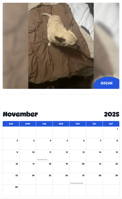 July 2025 - June 2026 Oscar - Pawidols Pet Calendar