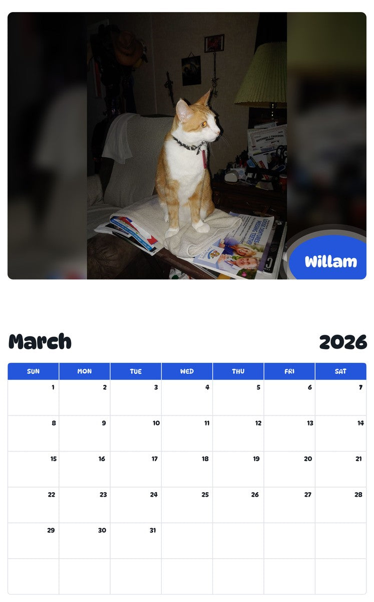 November 2025 - October 2026 Willam - Pawidols Pet Calendar
