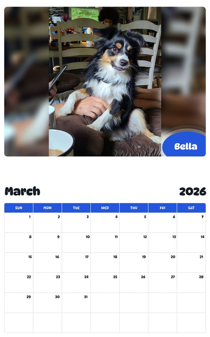 November 2025 - October 2026 Bella - Pawidols Pet Calendar