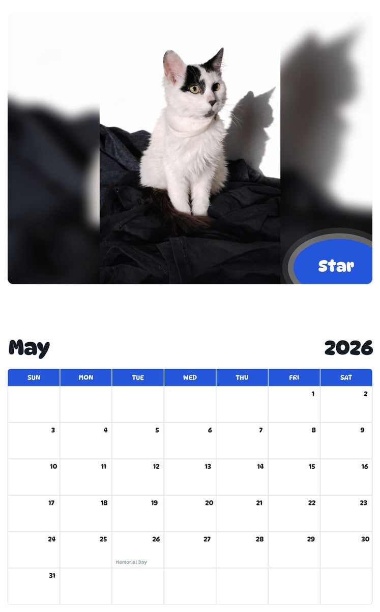 2026 - 2027 Star - Pawidols Pet Calendar