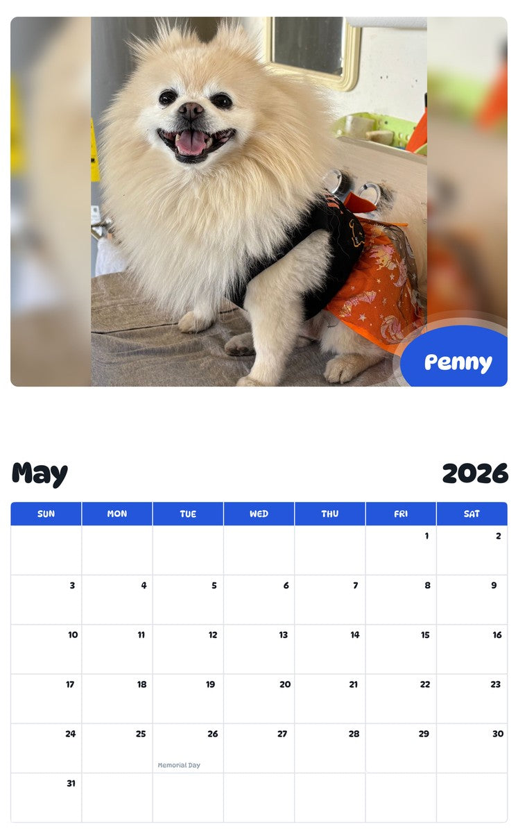 2026 - 2027 Penny - Pawidols Pet Calendar