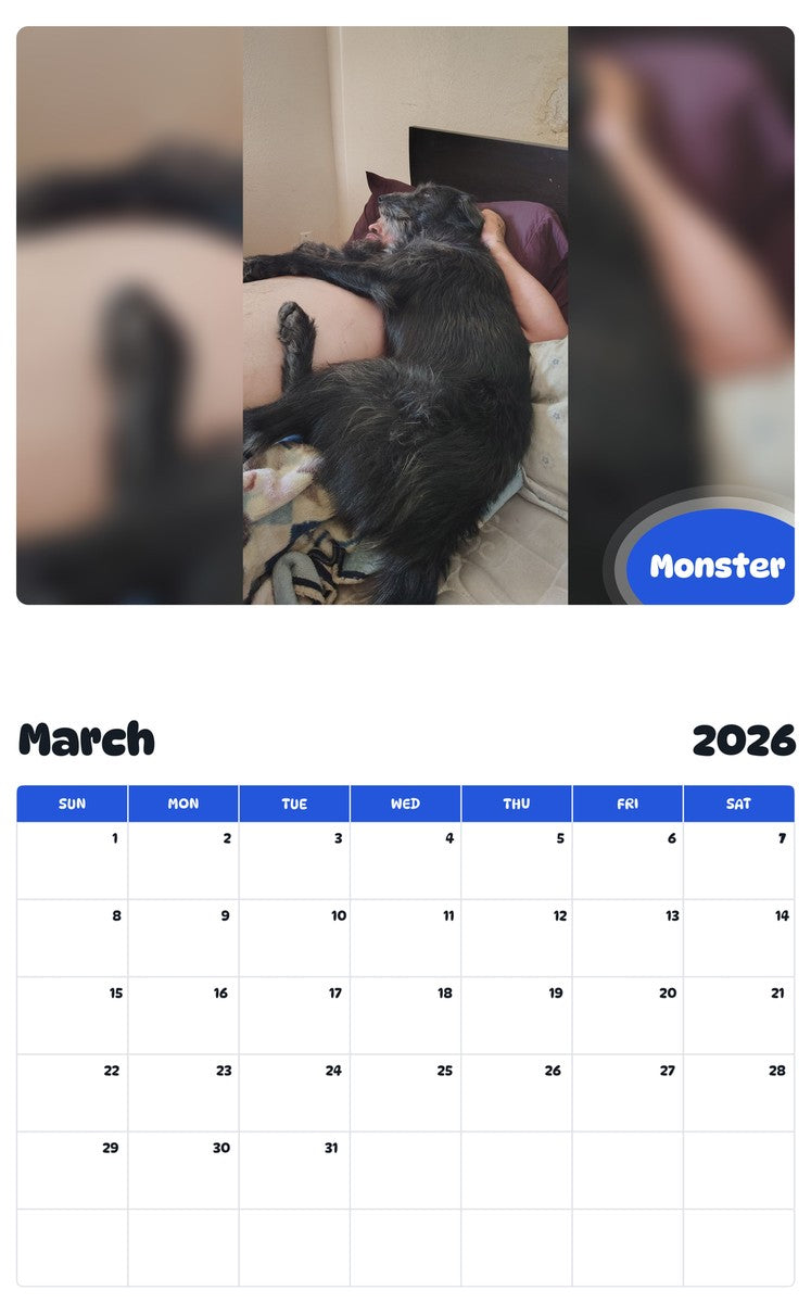 November 2025 - October 2026 Monster - Pawidols Pet Calendar