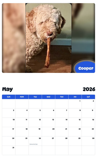 2026 - 2027 Cooper - Pawidols Pet Calendar