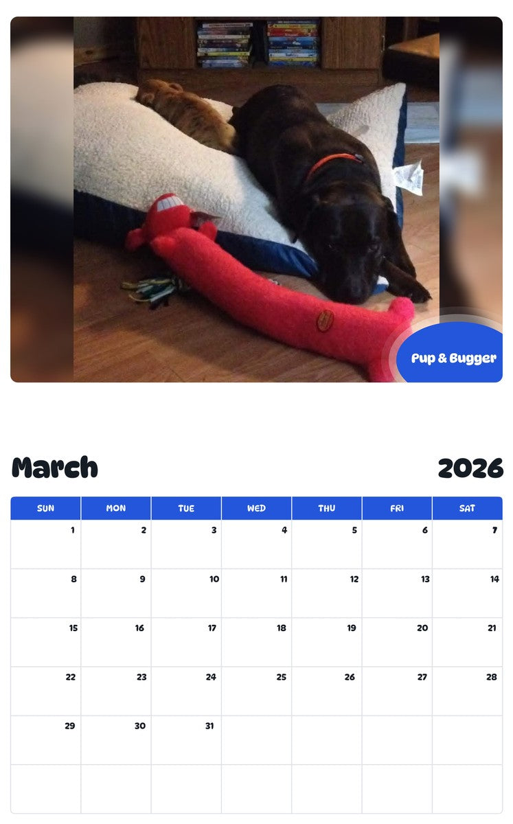 November 2025 - October 2026 Pup & Bugger - Pawidols Pet Calendar