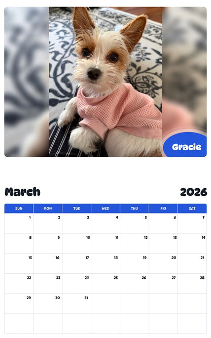 November 2025 - October 2026 Gracie - Pawidols Pet Calendar