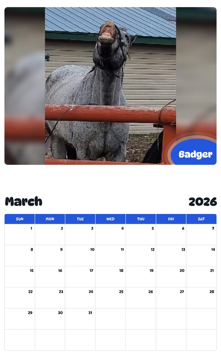 November 2025 - October 2026 Badger - Pawidols Pet Calendar